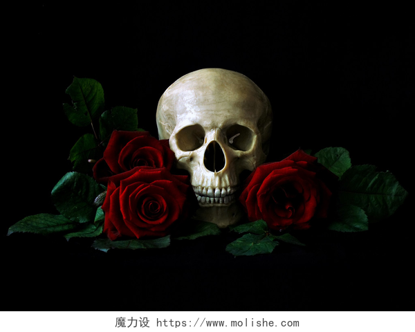 玫瑰花从中的骷髅头Vanitas